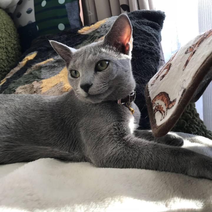 Fe110bf8 5630 4e30 9c5c 87022e78f6c4 1515416874967