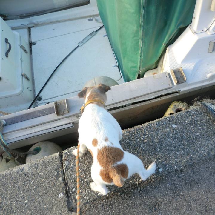 Fe110d1c a9df 4a86 b51a b6d7c95f3a8c 1509877085293