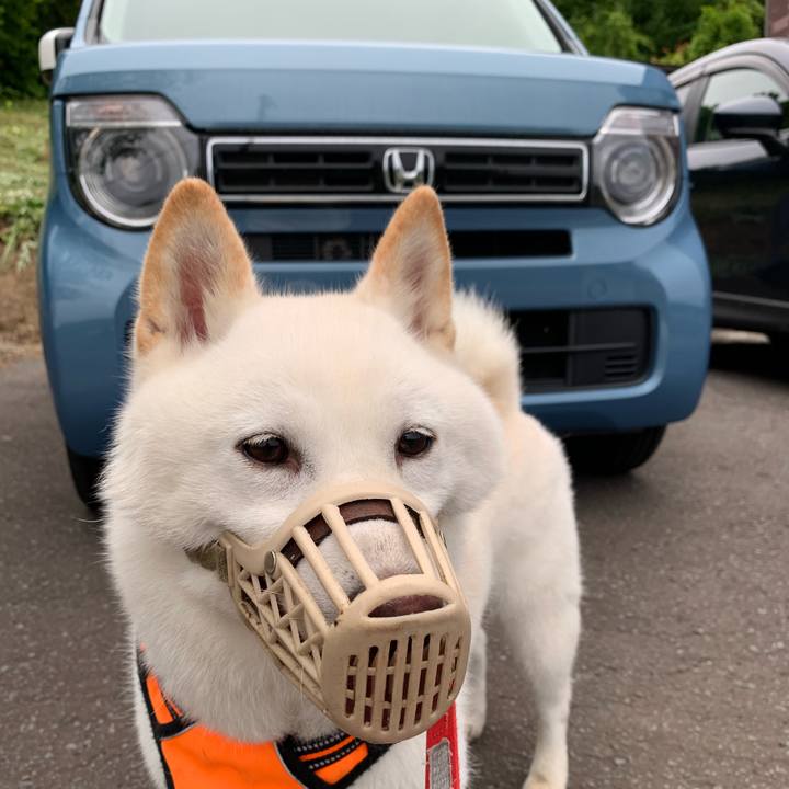 Fe1122ab 5153 467d a6cd a028743cacfa 1625955358161