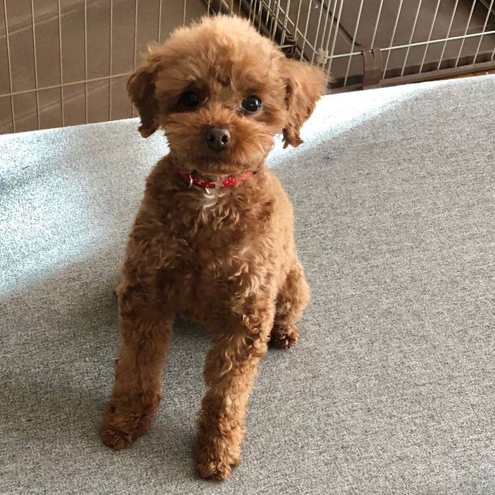 Fe114329 e5d7 4f19 a2a0 137db957d580 1582065697072