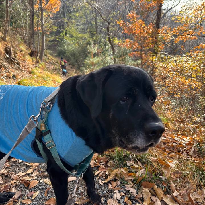 Fe1187ea dbc4 445c a5a9 5fecf9982980 1764243971630