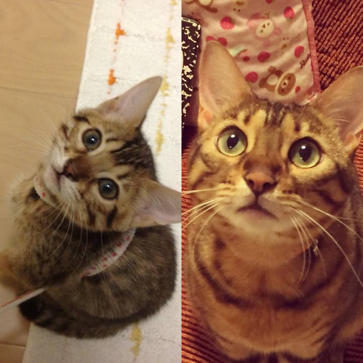 Fe121534 2942 4267 b7f1 178a49c3290f 1541108874729