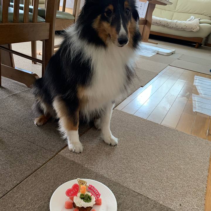 Fe1219d9 6325 4951 b935 232c1c8d0100 1597614996846