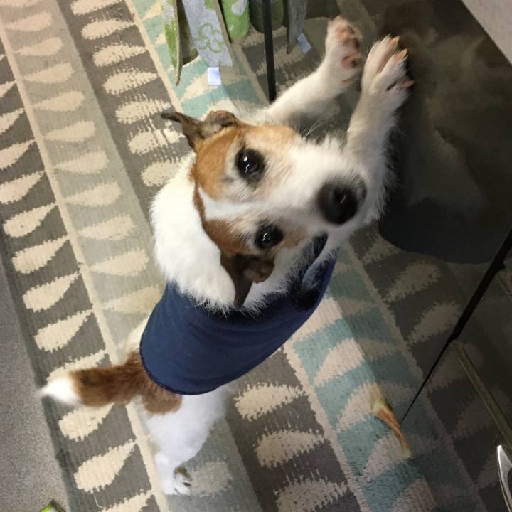 Fe12966f 02cd 459b 950f b87b8577d47a 1586913119451