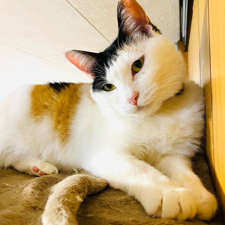 Fe12a4ce 852b 4af5 825f 18f949170201 1677682736162