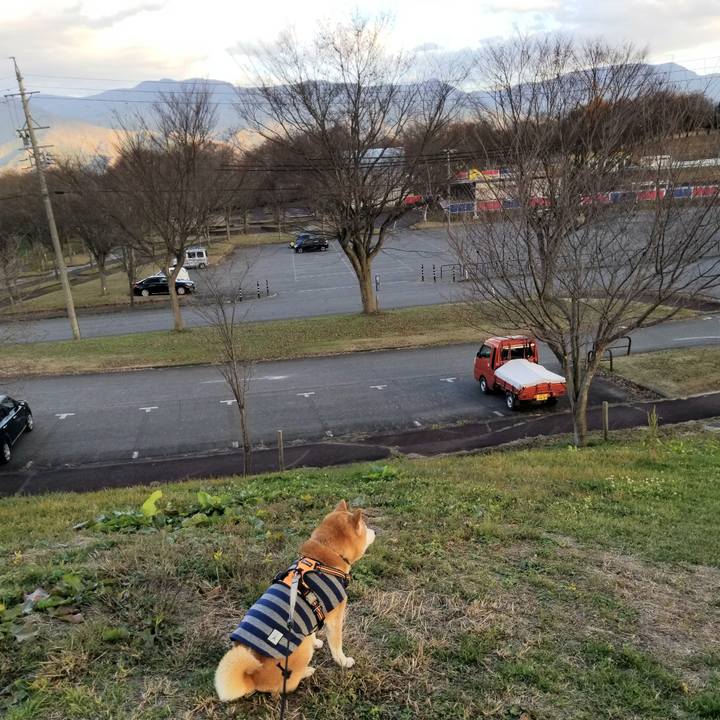 Fe12ba28 fd61 4af3 a24a 3fe72690743f 1637823534443