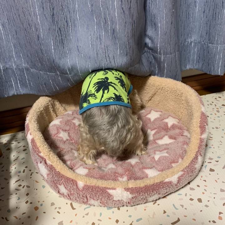 Fe12fb85 2293 4767 a349 b4c5676207b9 1666171771816