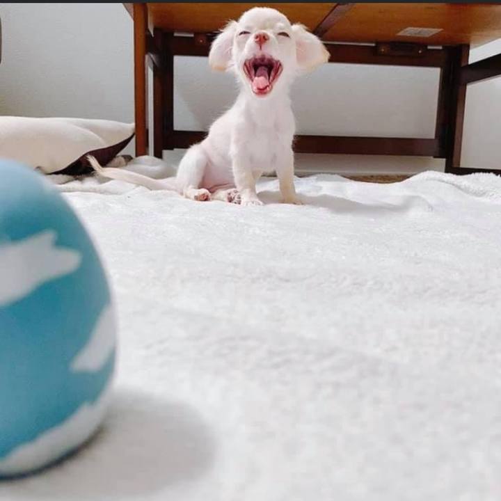 Fe1308ff c91d 4883 8da4 62cd857da6b1 1647044376623