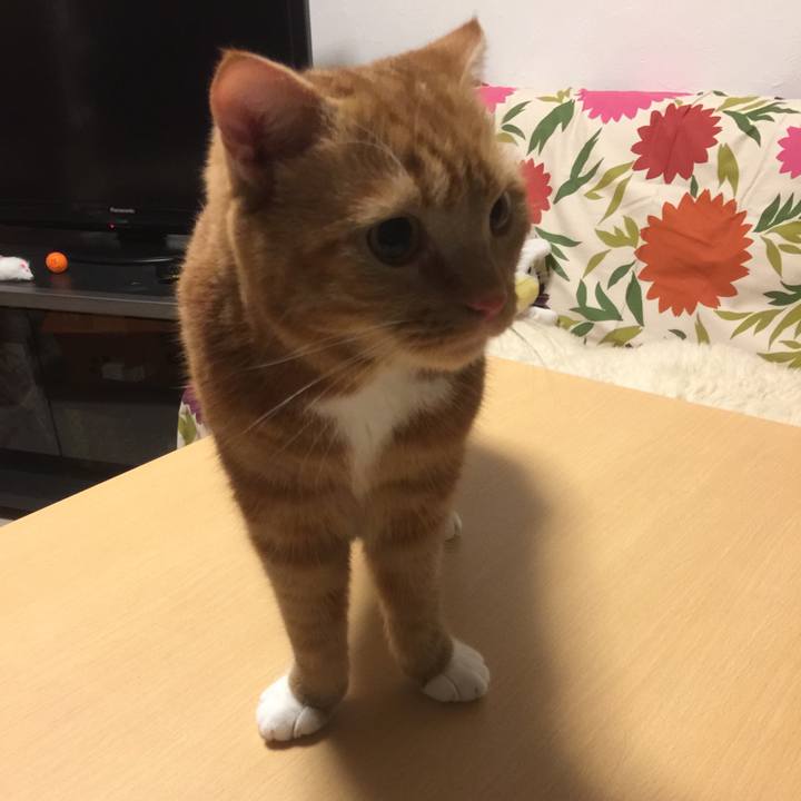 Fe130d55 51c9 4895 bc5d ebf68875f5fc 1536185979649