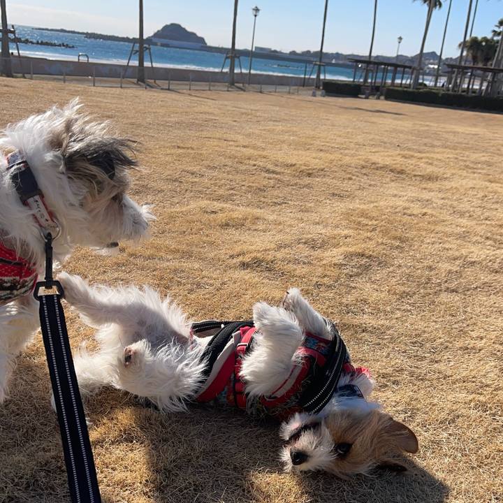 Fe130f81 e28a 445f a6eb 0418f4c57c0a 1770116047608