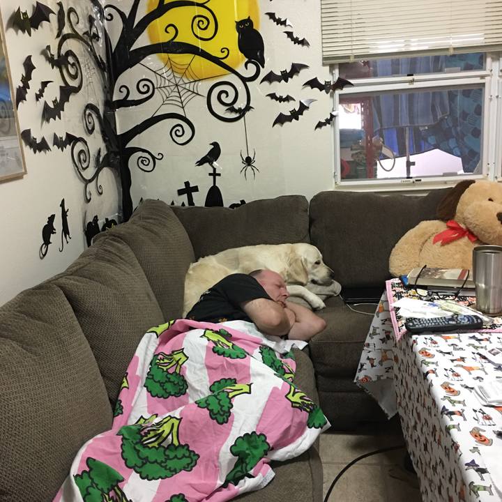 Fe132be6 92e4 44da a306 f8bef8872d6e 1511602496605