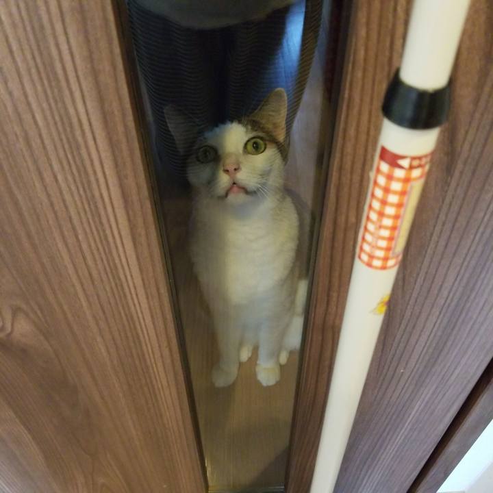 Fe133a07 7cb6 4a64 b577 3d8e8c563bcf 1569196189188