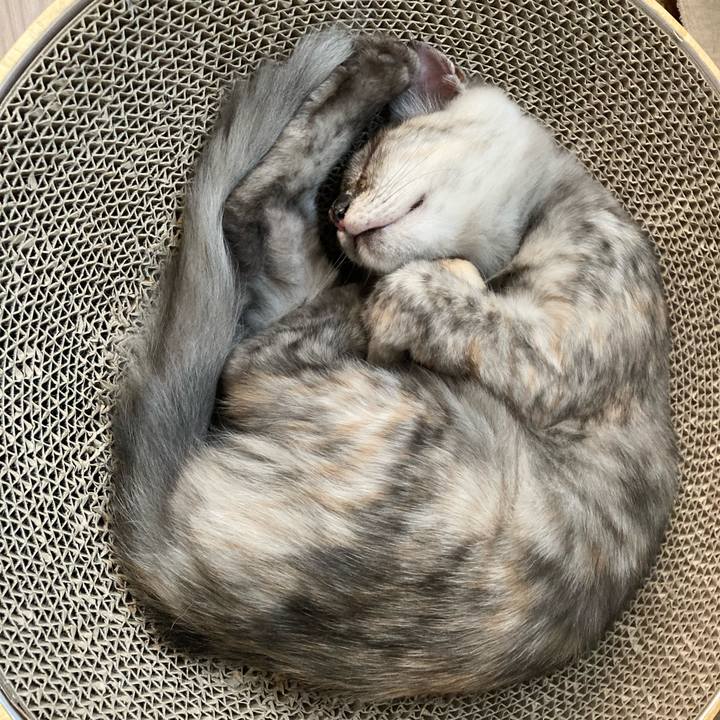 Fe13731a 0fb0 45c5 9f77 8571d65629e3 1697696998179