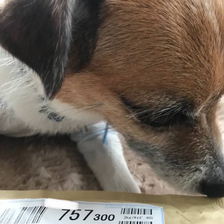 Fe13755d 8148 4432 8d19 c70ca3a2bf78 1527738418669