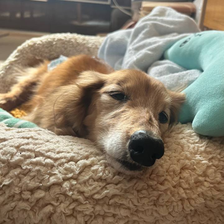 Fe139033 d359 4614 bf63 98fdcacbe147 1685023870237