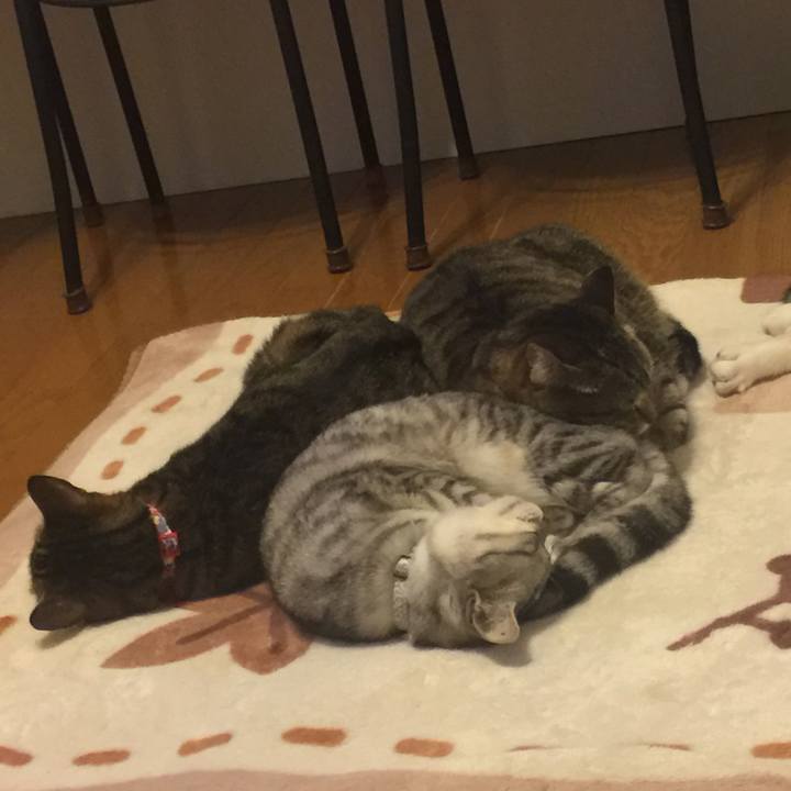 Fe139aa9 f0c7 4cf8 a723 47a9df708911 1559293359596