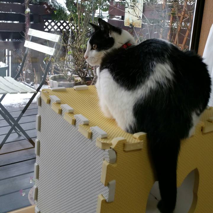 Fe139d6c e22a 4270 b424 548a6615de03 1514600547704