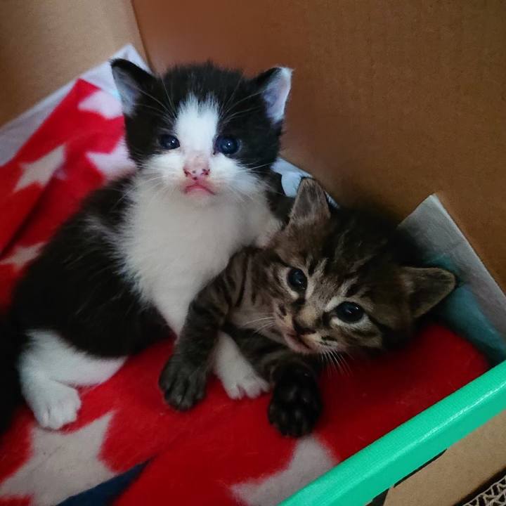 Fe13a2cc f9ad 403d 8975 c2a0842fd776 1628470443010