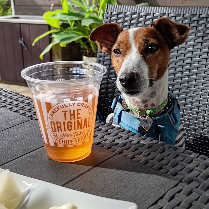 Fe13b407 188d 40f7 9f6a 3078a538b31c 1663410274897