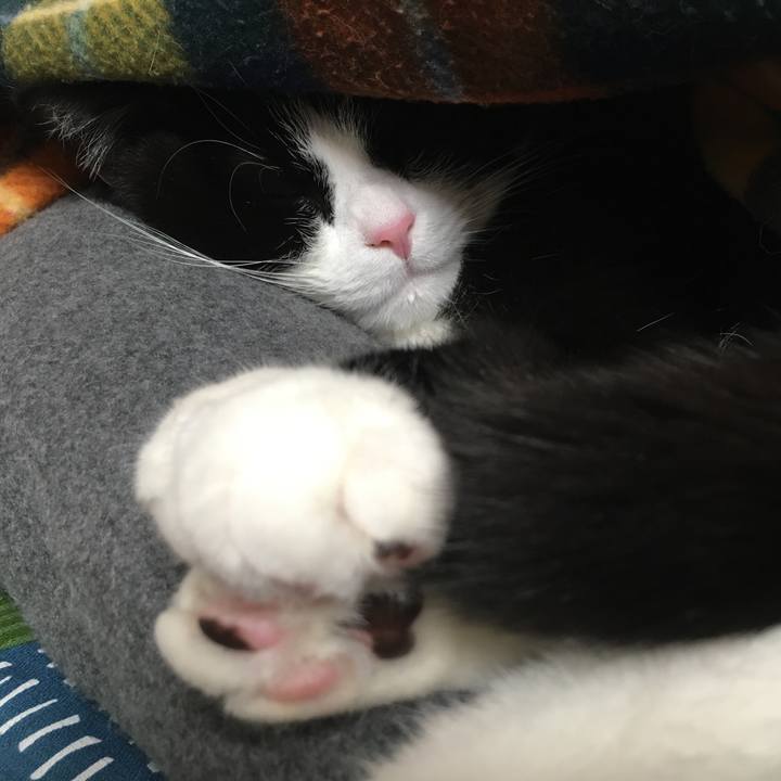 Fe13be66 e006 4f9c bcad 96adf21b1d07 1613912040301