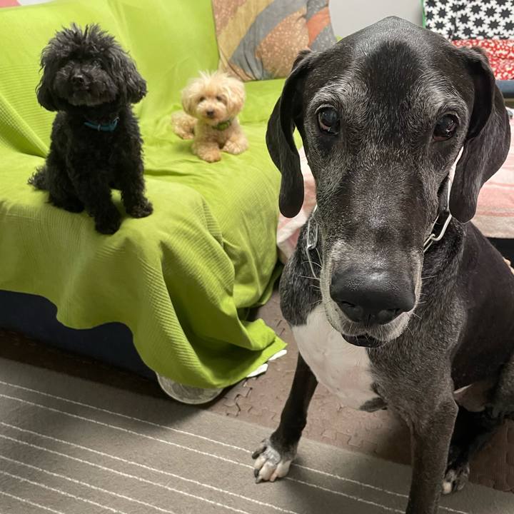 Fe13d529 f360 42c6 a16a 7d2396c0ce93 1624920351136