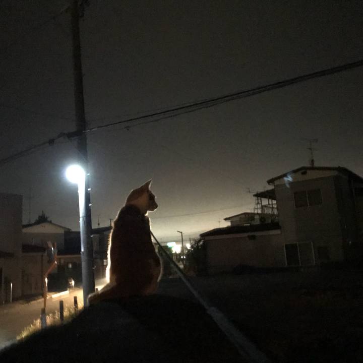 Fe13f8b0 b6c2 49c2 8924 cb1a81ca2c24 1511351040690