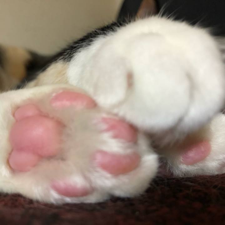 Fe143679 de55 48ca 8c3c 0871b858cb0c 1585663152100