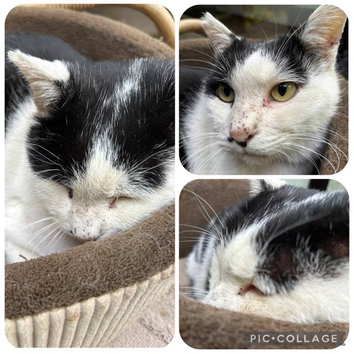 Fe1459b8 1a97 46c6 b32e 182677cf0355 1764655931469