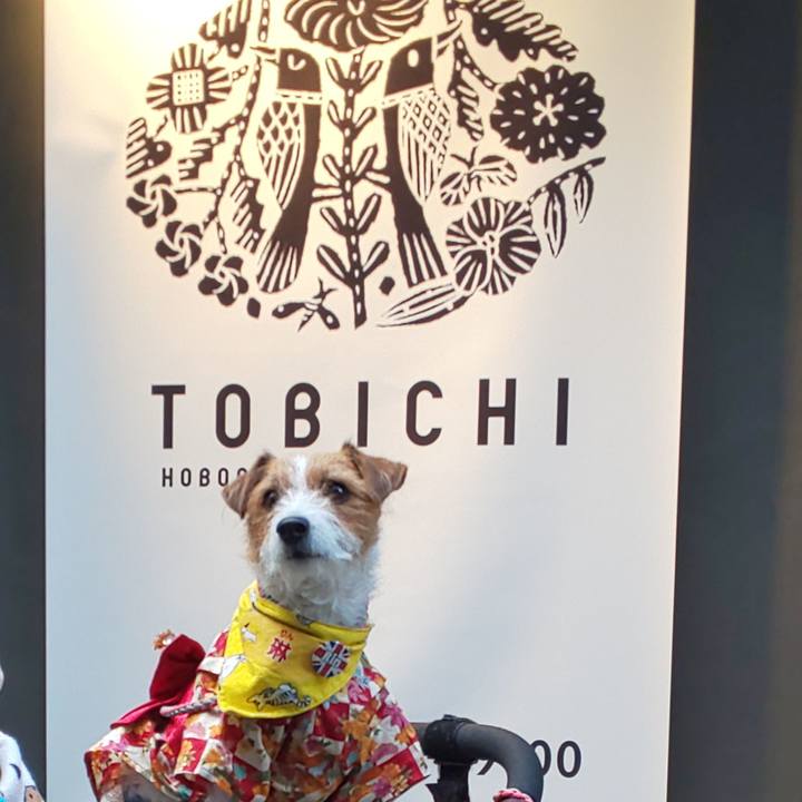 Fe147585 e9e1 479a 844d b2e070d38679 1610172185226