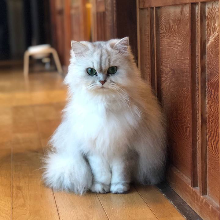 Fe14b3f1 cbd5 4057 a3c7 3a859062ef02 1616835569654