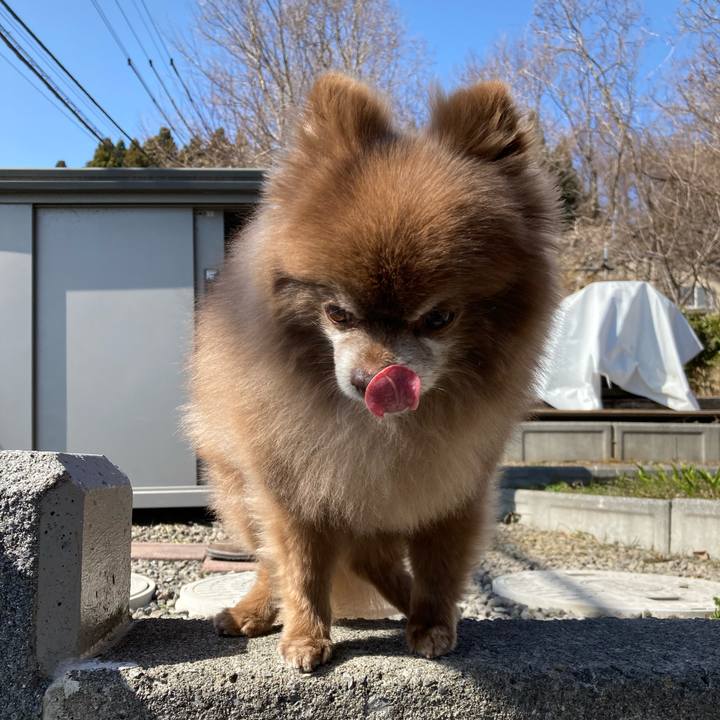 Fe14ce20 ea0f 4e5a 99f3 6953b7ef1200 1649134559410