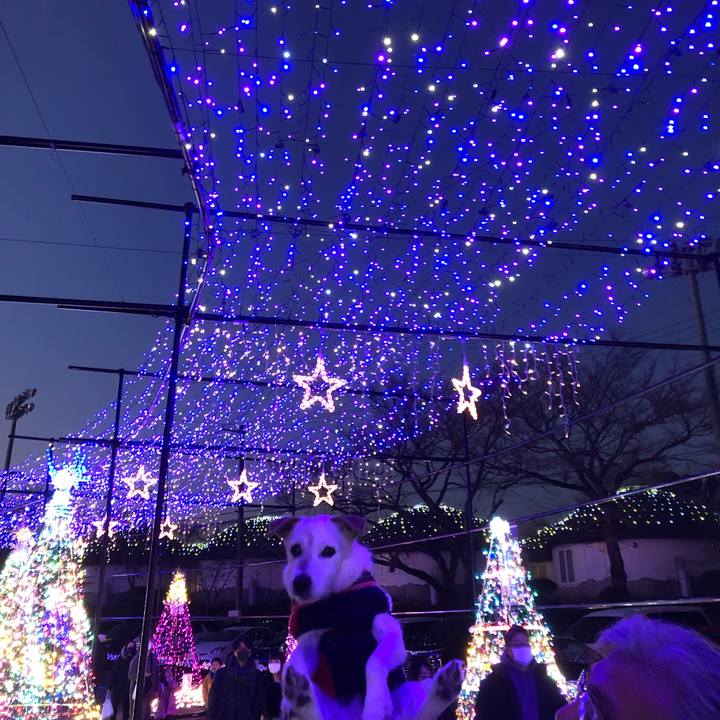 Fe14dd86 6f99 4b11 929f 102c3c7d9cf2 1639369023603