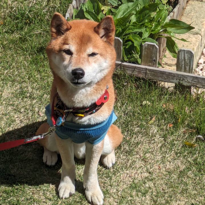 Fe14e98b dd4a 4bd1 a45b bf372e14becd 1713751719694