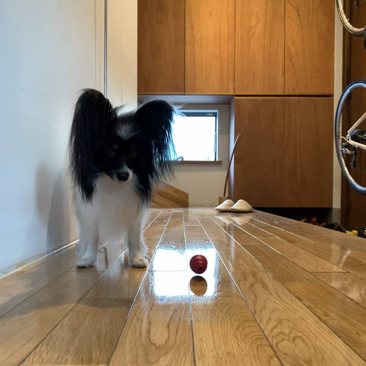 Fe158f3a 4fff 42da a73c 4c4dfc98cc32 1564754799612