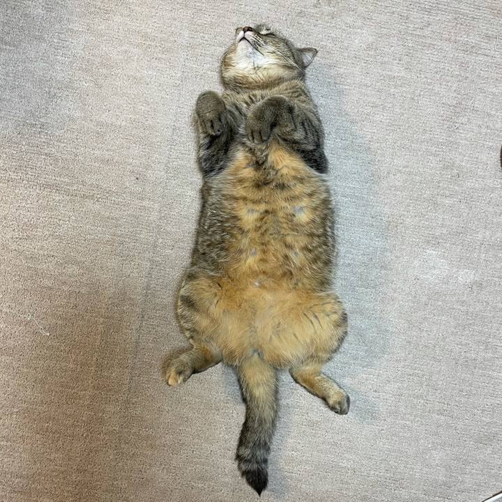 Fe15bfca 6210 47c5 b534 55c59a2d5fa3 1615282363106