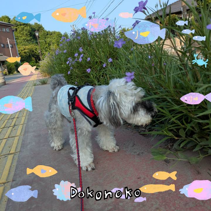 Fe15e25c 6676 42ad 9abf 837257bf8bcf 1755305156029