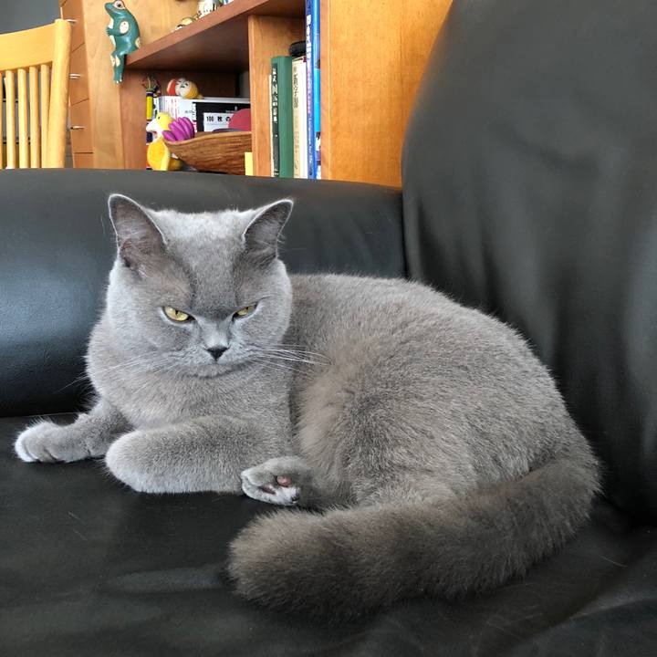 Fe160d96 87cb 47a0 b28b 936a6ebb4b25 1536995309534