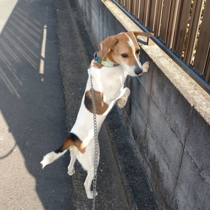 Fe162fb9 ccad 4e05 8c3b 9f0cb6d2a4c2 1614410729894