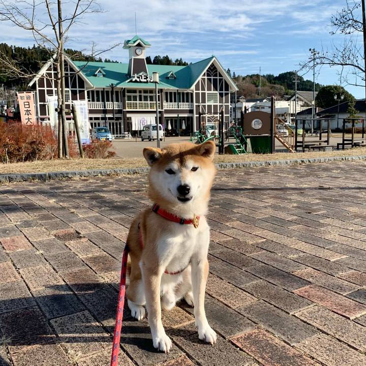 Fe16331e c571 4a8f 84dd c7b39084f591 1607846004447