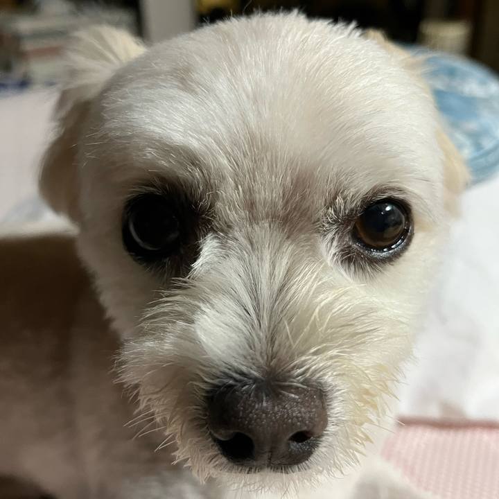 Fe163ce6 b1f9 4243 bac4 f7af6ef48c8a 1657966612938