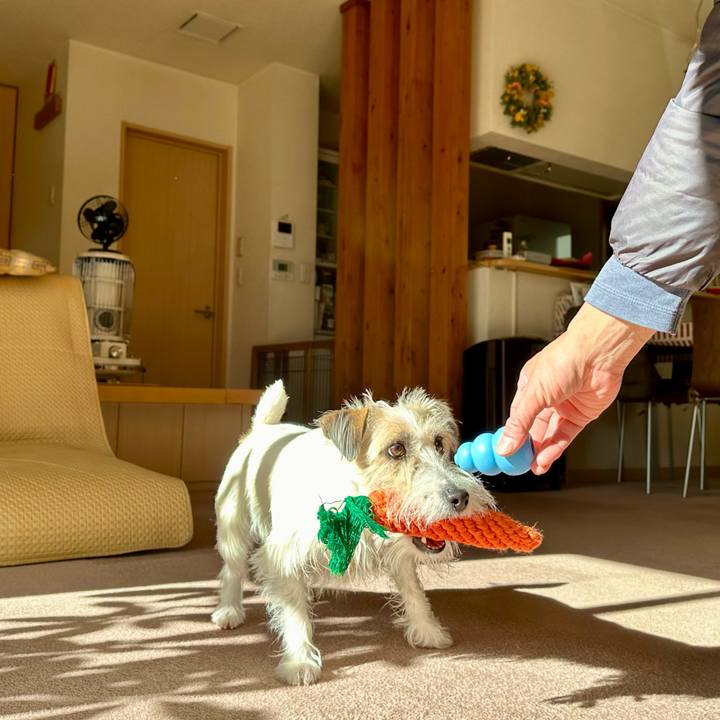 Fe164d3b 6fb5 478e 8bc8 74510d695820 1704380672895