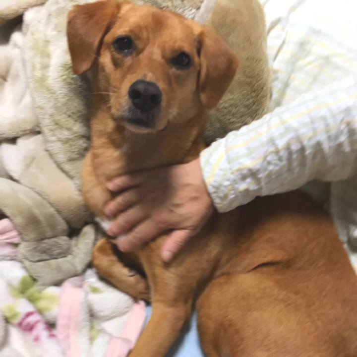 Fe168324 8d51 483f 8692 db58a151fdf3 1540994273848