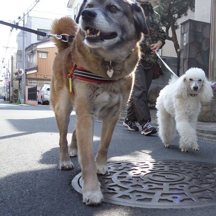 Fe16da06 318f 47b7 b1ac 2b3e294fdc2e 1521336361895