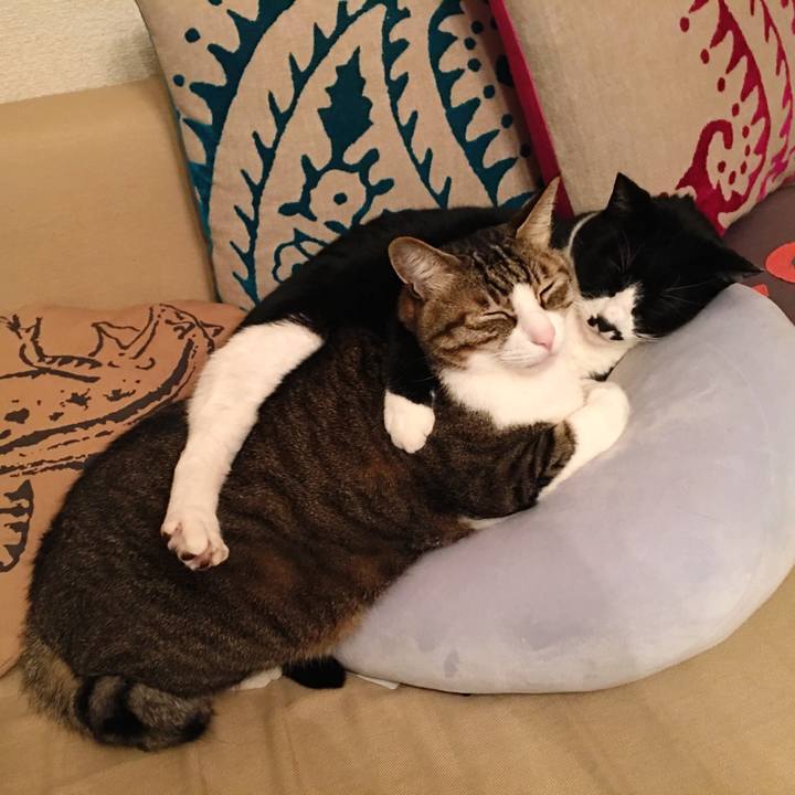 Fe16e345 e085 4f0b 8043 d5ddb46a3169 1512273207721