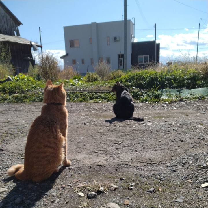 Fe176ca3 cb7d 4dd4 b38b c2d6d01df077 1667701506678