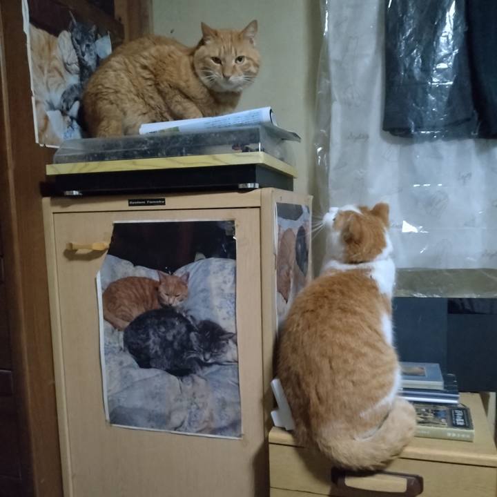 Fe176fdd 4998 46b2 a2b8 3b32fdc5b548 1767530175686