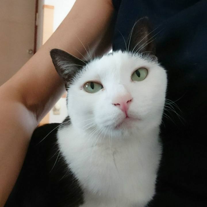 Fe178828 ba29 4c0e 8909 71589b874c45 1535072289187