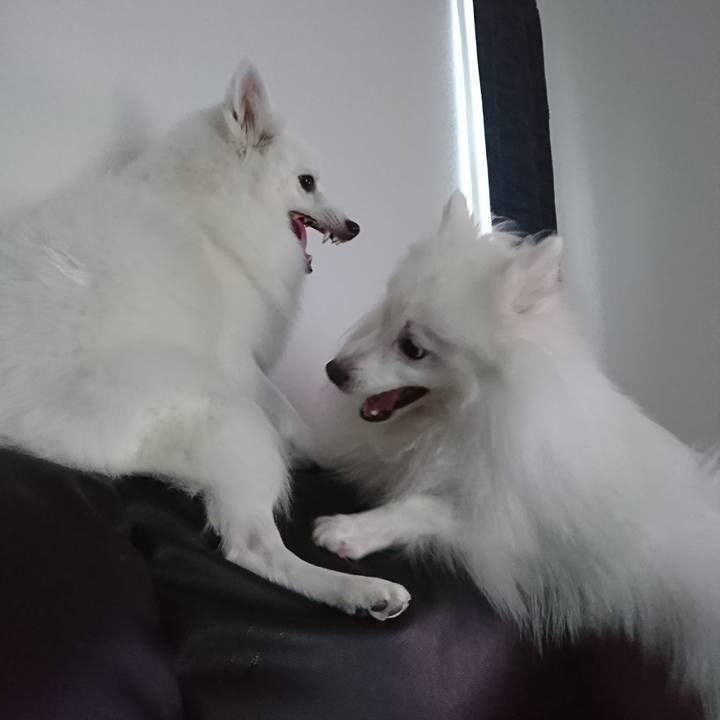 Fe17ac5e 1d32 4589 9e46 0bd83f65235b 1577080079080