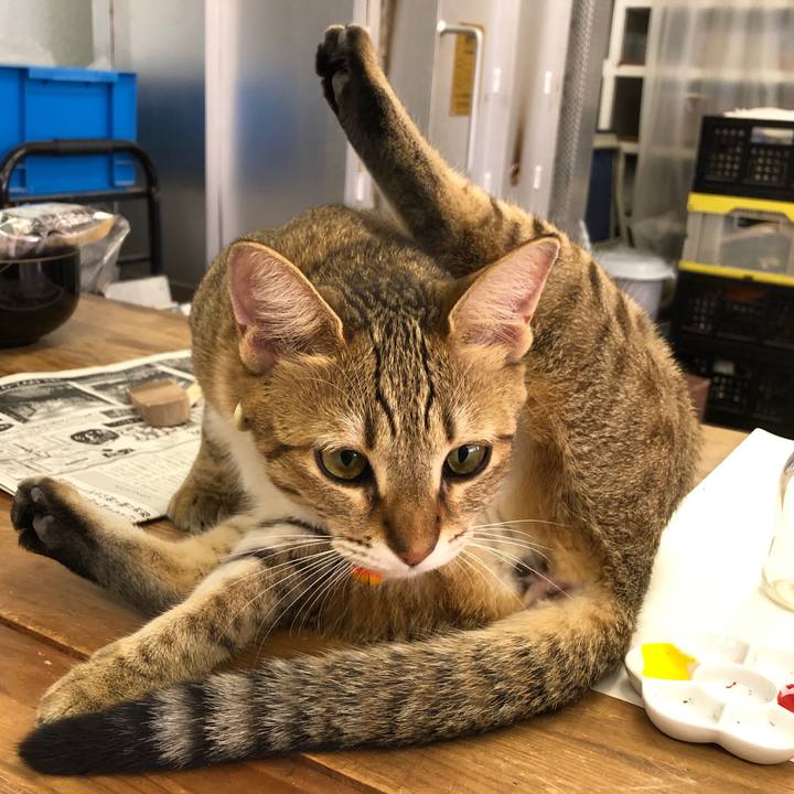 Fe17c0c3 cfe0 4e56 8f26 672e6090c7ee 1597533711938