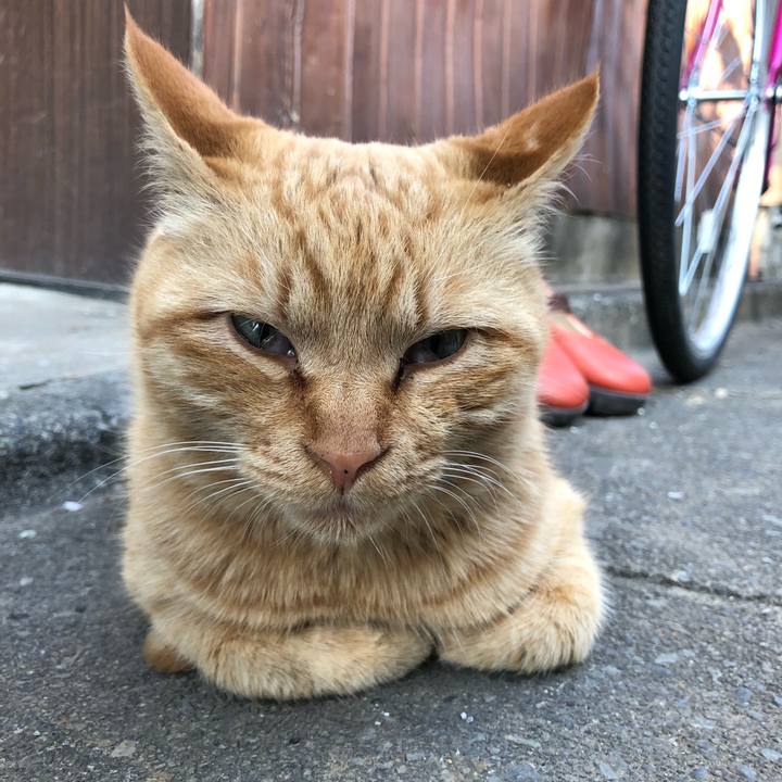 Fe183cc2 304f 4ab3 ac54 877f08efd76c 1521103996050